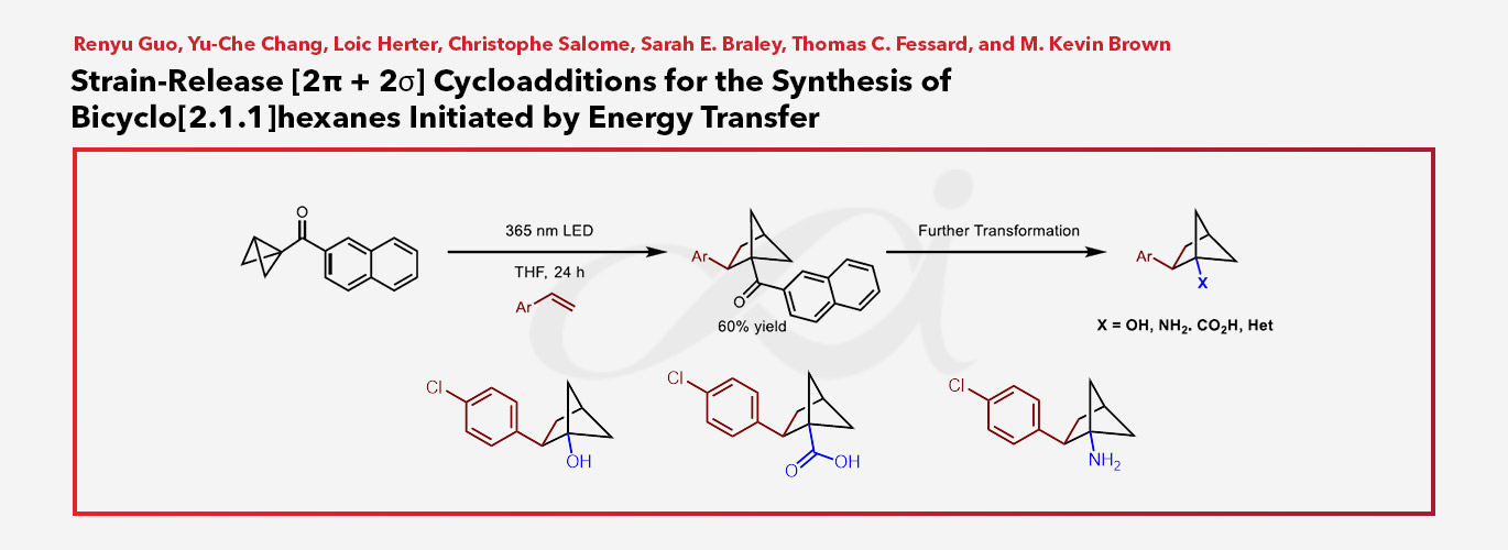 Strain-Release [2π + 2σ] Cycloadditions for the Synthesis of Bicyclo[2.1.1]hexanes Initiated by Energy Transfer