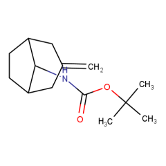 tert-butyl N-{3-methylidenebicyclo[3.2.1]octan-8-yl}carbamate