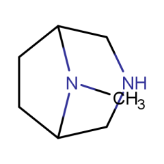 8-methyl-3,8-diazabicyclo[3.2.1]octane