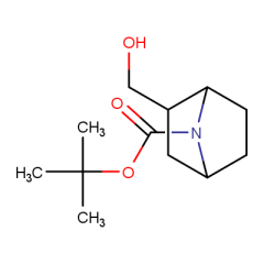 tert-butyl 2-(hydroxymethyl)-7-azabicyclo[2.2.1]heptane-7-carboxylate
