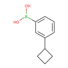 3-Cyclobutylphenylboronic acid