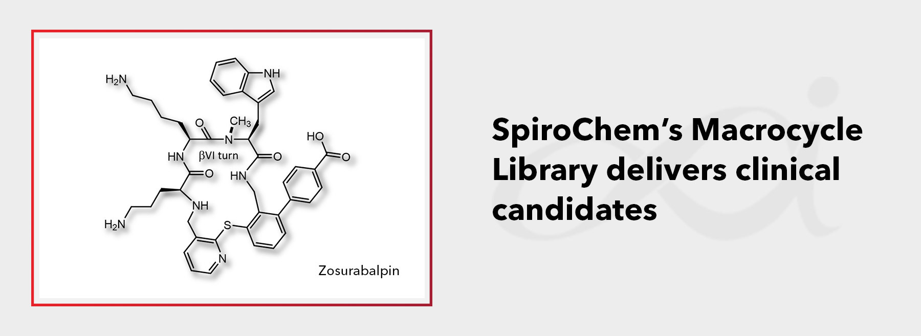 SpiroChem’s Macrocycle Library delivers clinical candidates