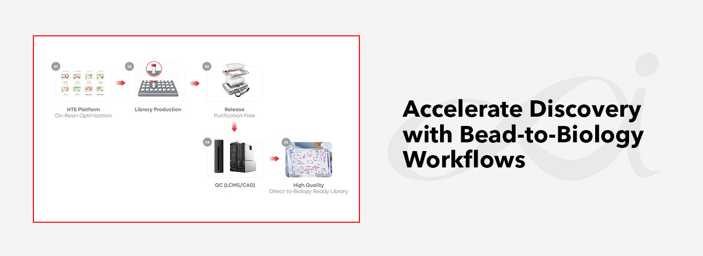 Accelerate Discovery with Bead-to-Biology Workflows